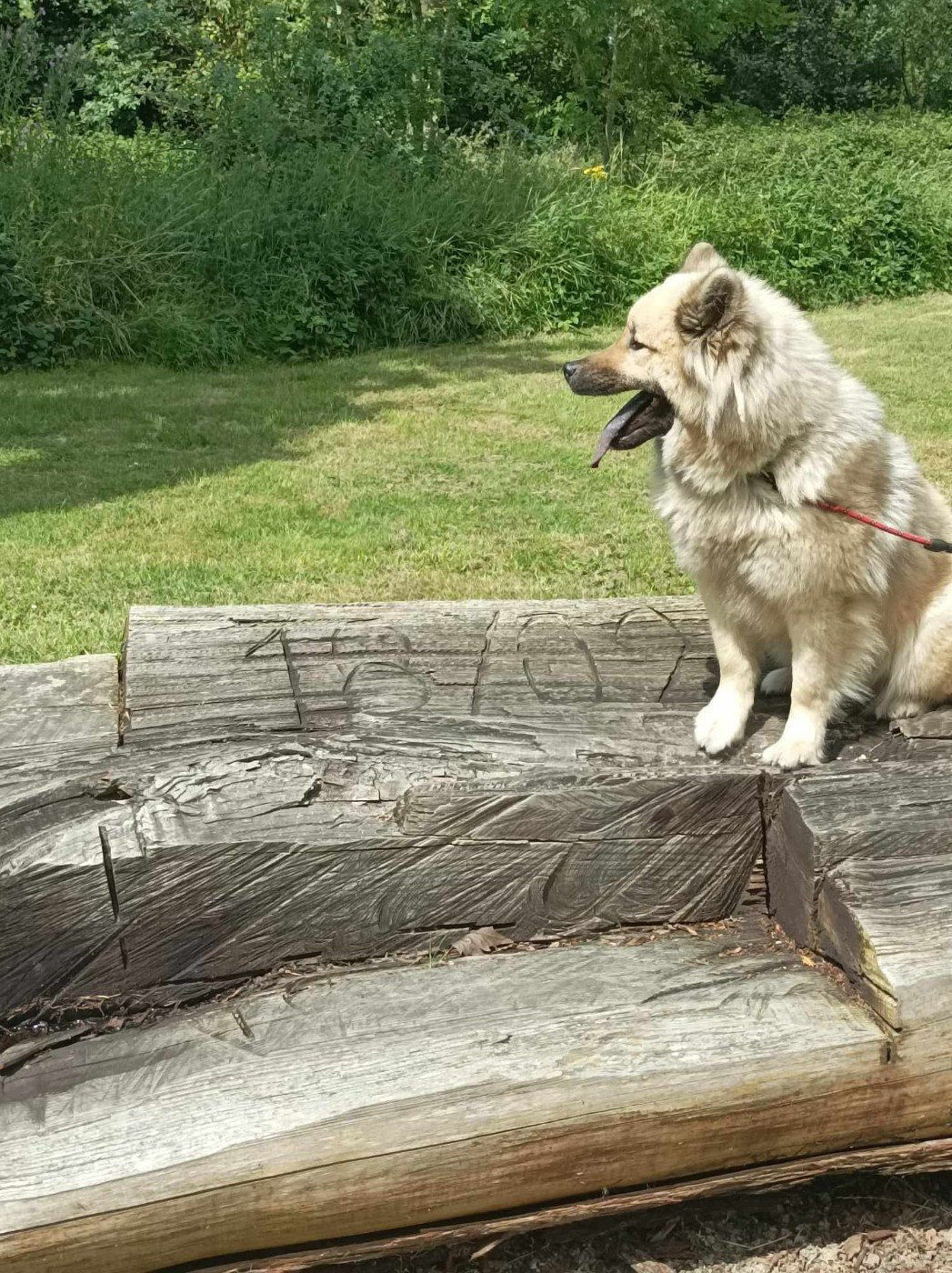 Tasca de la source de l ' aa (Sans Affixe)