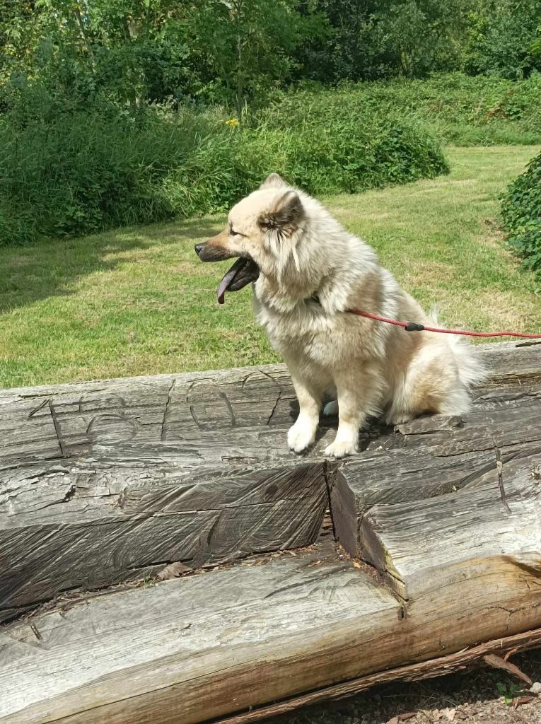 (Sans Affixe) Tasca de la source de l ' aa