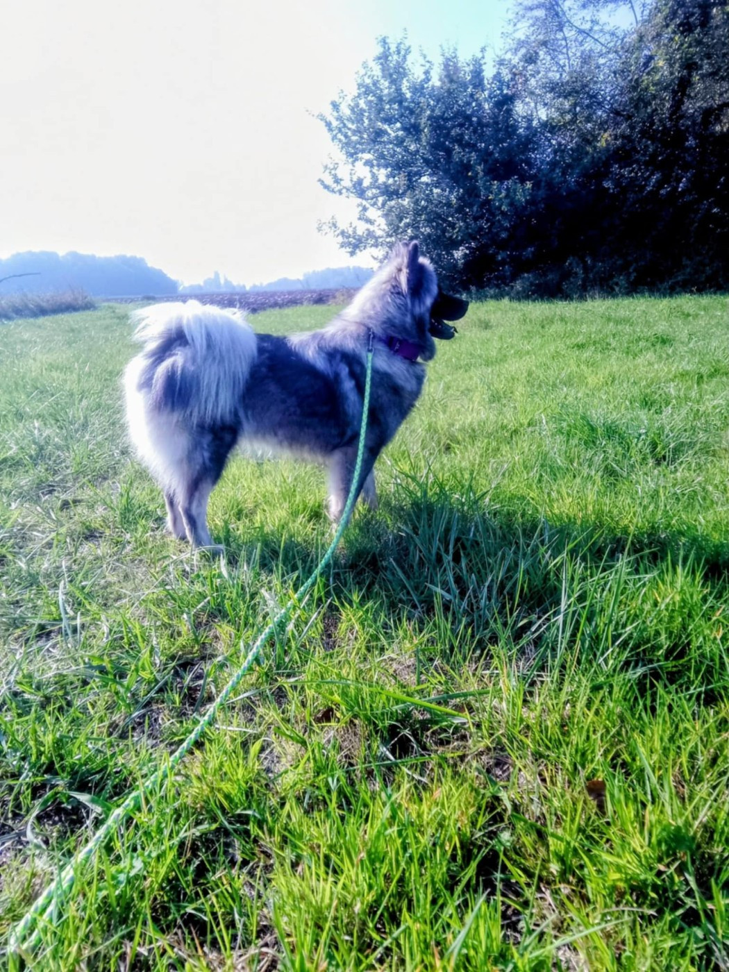 victoire Des Geants Du Sault