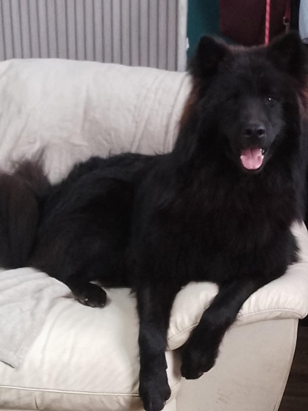 Vador Des Geants Du Sault