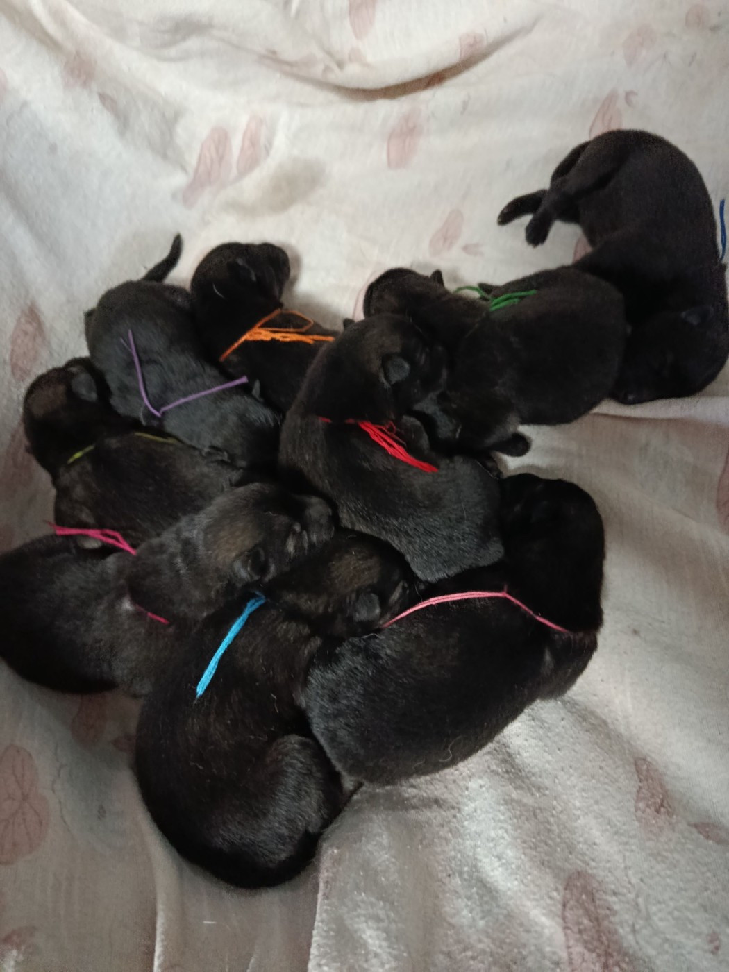 les bebes sont nes le 25/05